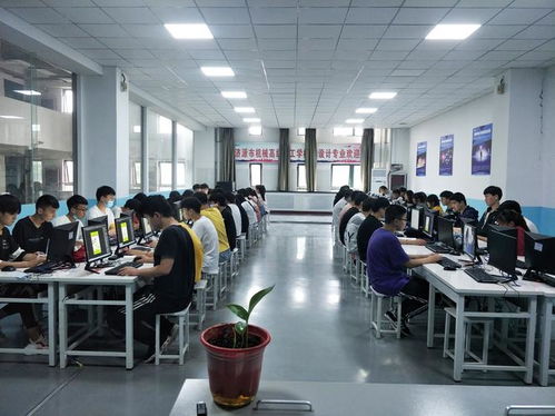 计算机网络工程 计算机专业中最受欢迎的设计与施工领域